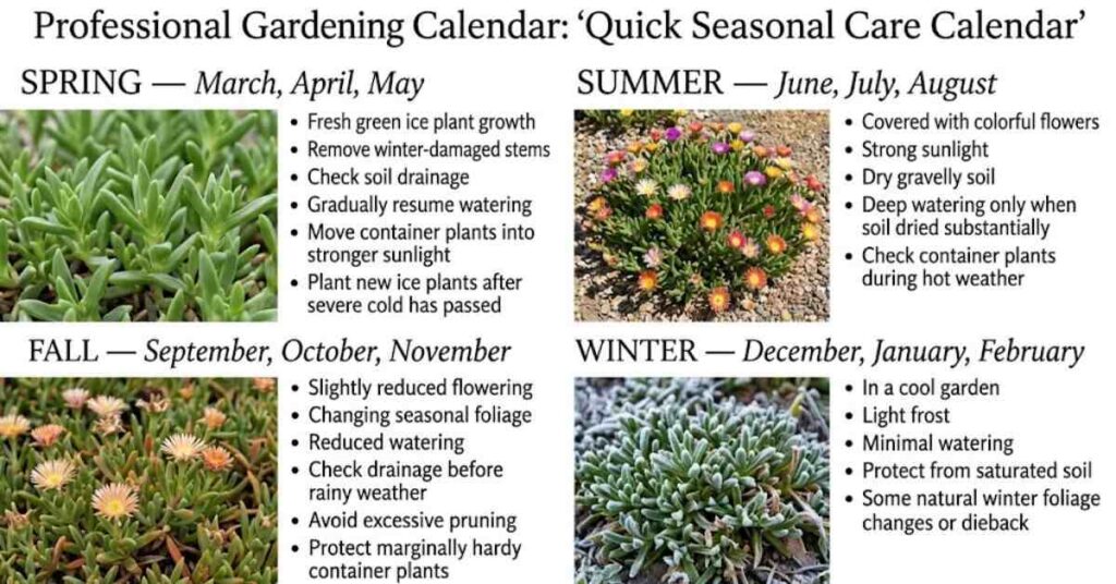 Quick Seasonal Care Calendar